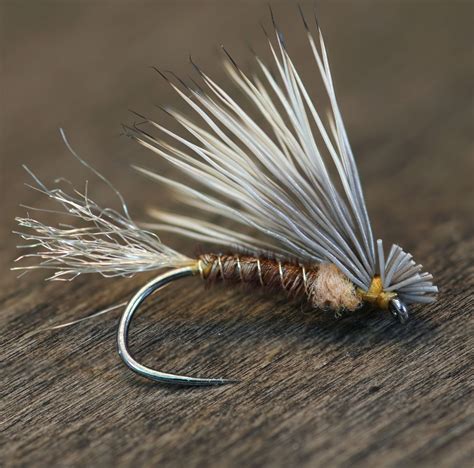 fly fish food|Fly Fish Food Tying Series .